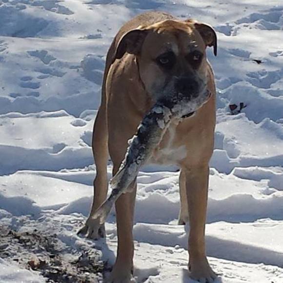 Meet your Posher, Michelle - Picture 1 of 1